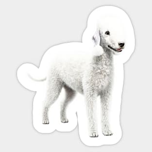 Bedlington Terrier Sticker